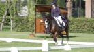Eventi:Scoccimarro, a Palmanova sport e cavalli valorizzano ...